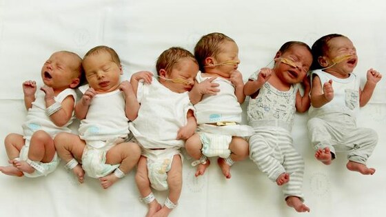 Online: Expectant Parent Information Session