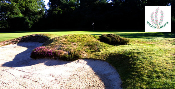 Walton Heath Golf Club 