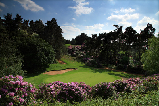 Woburn Golf Club 