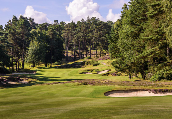 GB Platinum | Sunningdale Golf Club - Old & New Course.