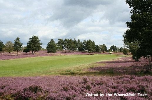 GB Platinum Hankley Common