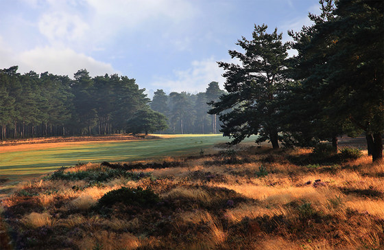 GB Platinum - Hankley Common