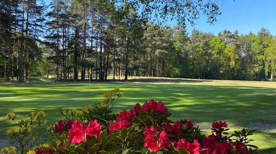 GB Club Sunningdale Heath - Pairs Open