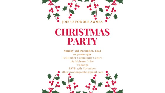 **Updated Multiple Birth Families Christmas Party 
