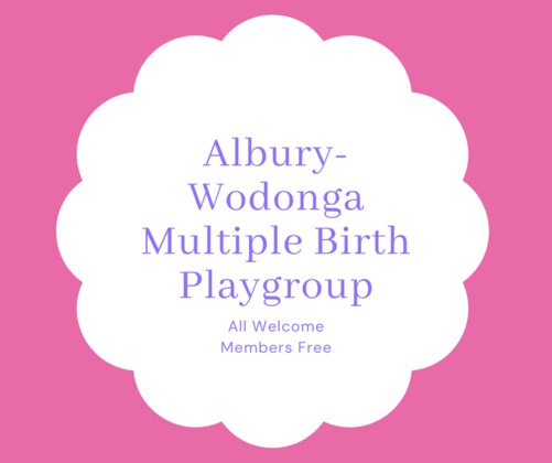 November Multiple Birth Families Playgroup