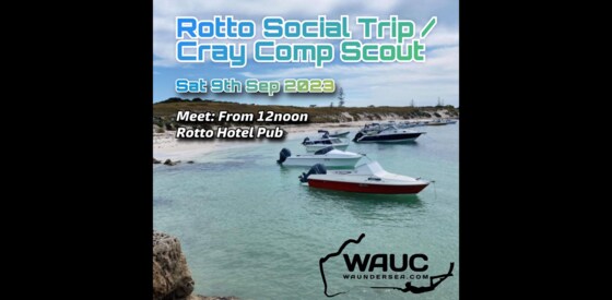 Rotto Social Trip / Cray Comp Scout