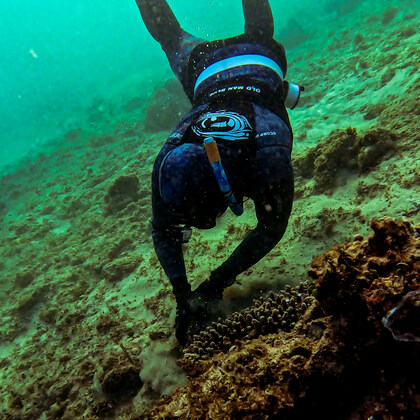 September Club Meeting - Old Man Blue (Venue Confirmed) 