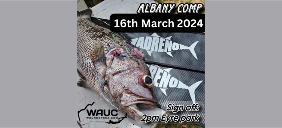 2024 Abany Comp