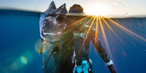 WAUC March Club Meeting - Science of Freediving