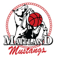 Maitland Basketball Association
