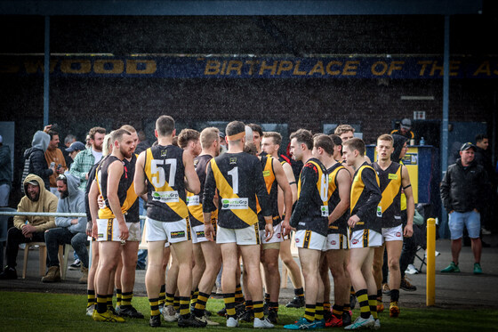 Tiger train to Windy Hill