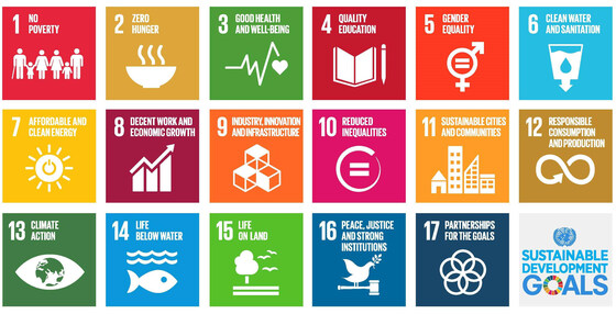 The UN Sustainable Development Goals: social, environmental, and business value