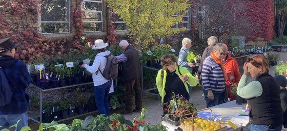 Plant Sale and Burnley Gardens Discovery Day