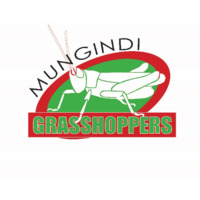 Mungindi Junior Rugby League