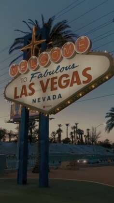 CAMS Ball: A Night in Vegas (Y5 Release)