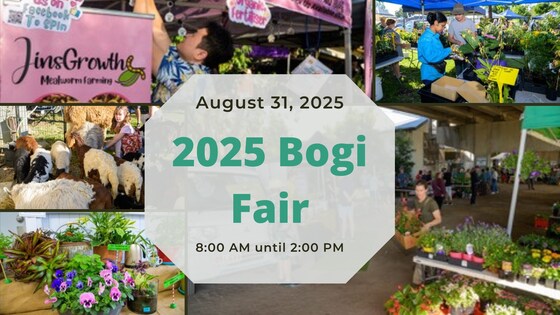 2015 Bogi Fair