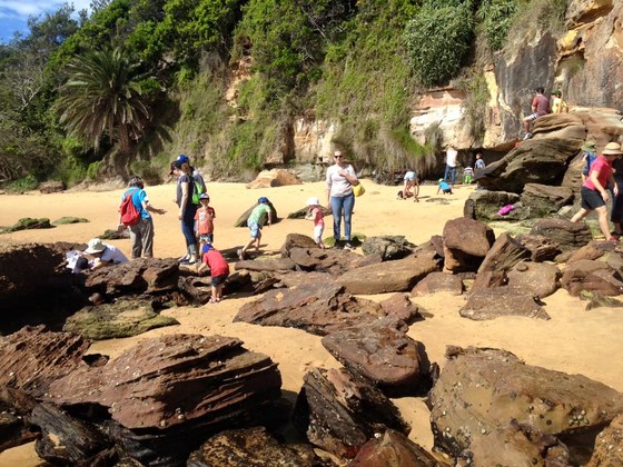 Facebook 20151202 013518