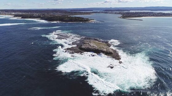 Single Guided Boat Dive (Moon Island- Swansea Heads) 