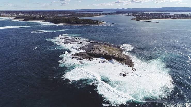 Single Guided Boat Dive (Moon Island- Swansea Heads) 