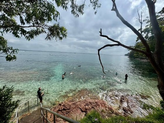 Fly Point Snorkel & BBQ Event