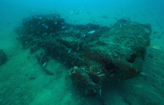 15145169 10211206708307271 1724161903 o