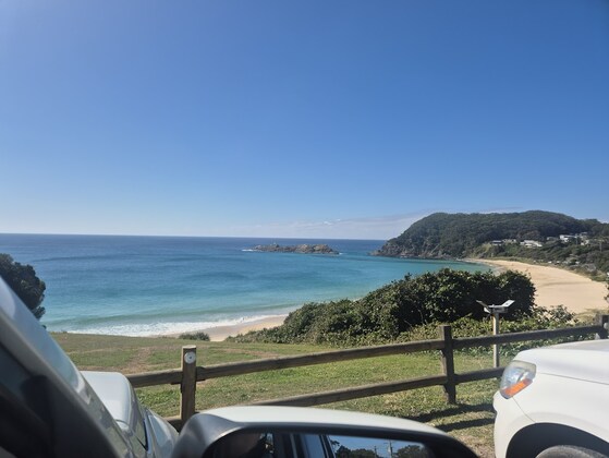 Forster weekend 