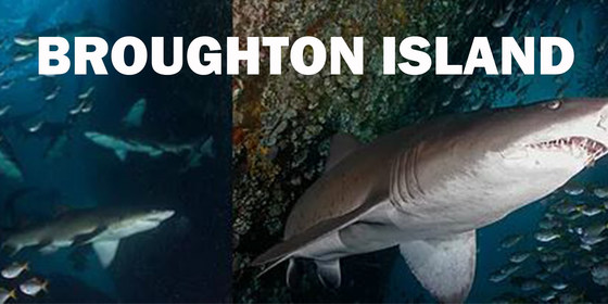 Broughton Island and a surprise!!! 