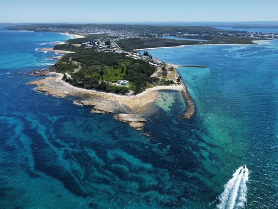 Social Snorkelling, Guided Shore Dive, and BBQ (Flagstaff - Swansea Heads) 