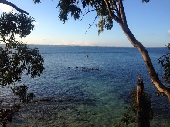Fly Point Social Day (BBQ & Dive)