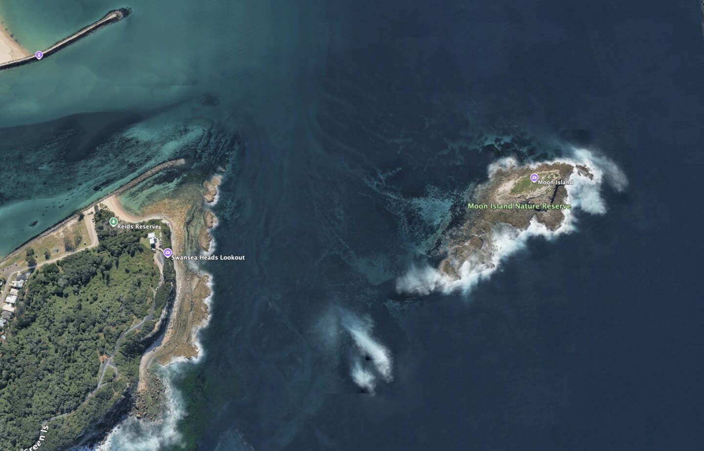 Guided Boat Dive (Moon Island) 