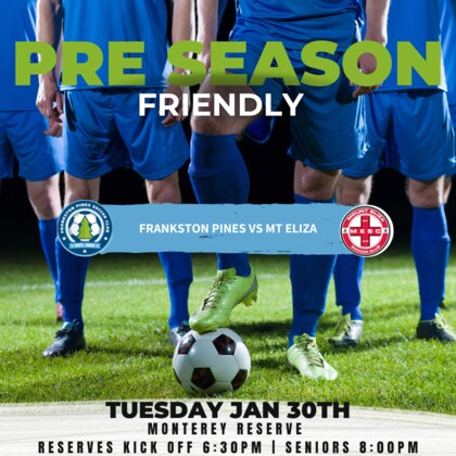 Men's Senior Friendly - Frankston Pines vs Mt Eliza