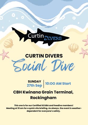 CBH Terminal Social Dive