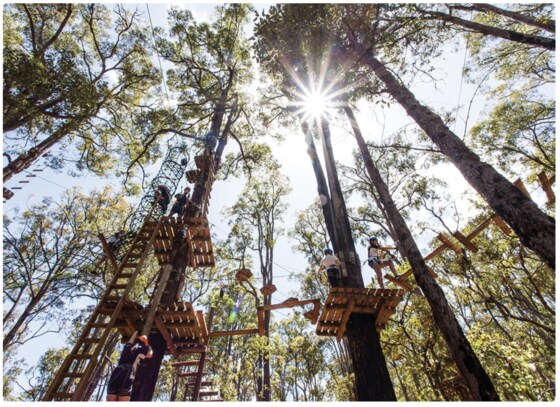 Dads and Kids Camp 15-16 Nov 2025 - Bush Walk and High Ropes Course, Dwellingup