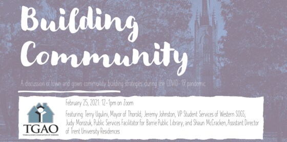 Building Community: A discussion of town & gown community building strategies during the COVID-19 pandemic