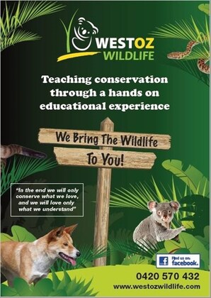 Meet the Animals School Holiday Event! 