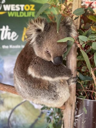Meet the Animals School Holiday Event! 