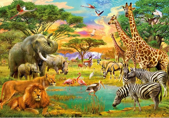 Pre-School Playgroup 