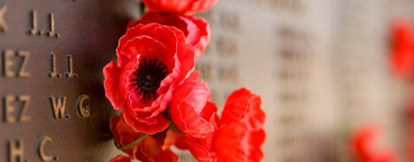 Remembrance Day