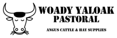Woady Yalock Pastoral