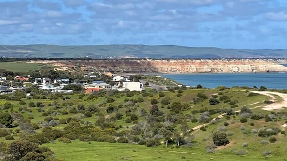 Annual General Meeting