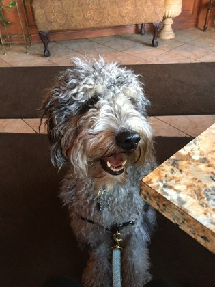 Luna 4/22