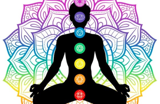 24th May Wisdom Tree Program