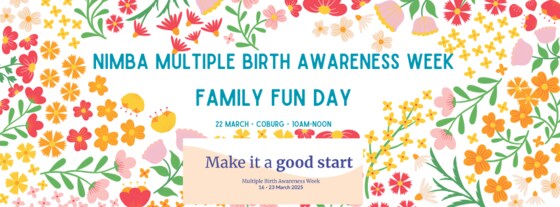 Multiple Birth Awareness Week NIMBA Family Event