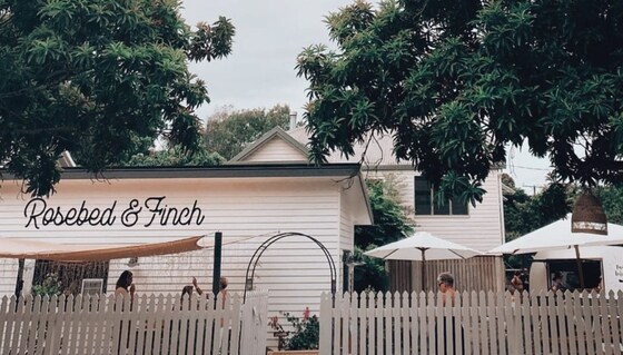 Rosebed and Finch Under 1's morning tea