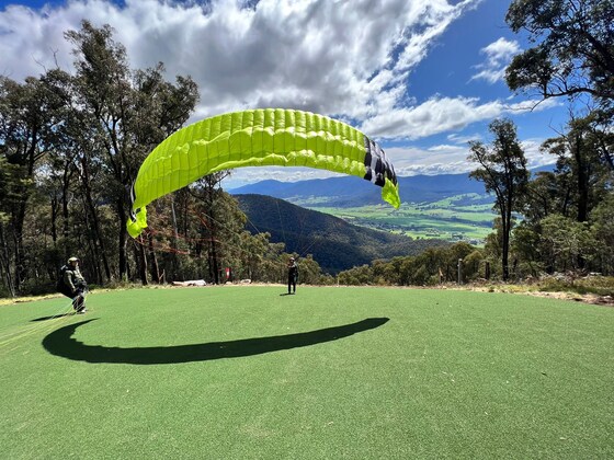 Mystic Driver Induction #4