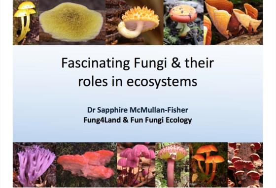 Fascinating Fungi & their roles in ecosystems