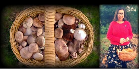 Edible mushrooms workshop Gippsland