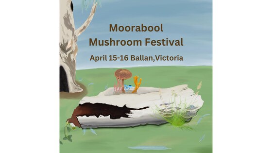 Mushroom Festival volunteers register