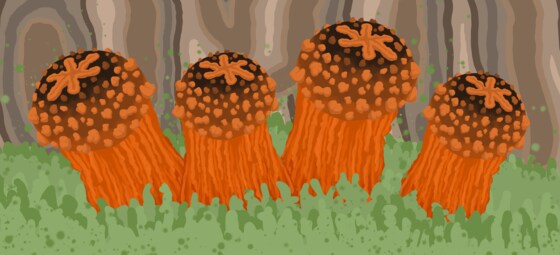 Fungal restoration with spores