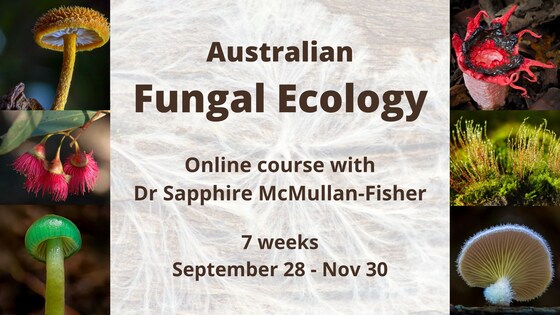 Fungal Ecology online course